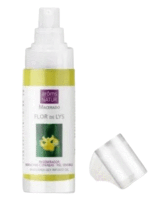 Design sem nome - 2026-05-04T143813.764 Flor de Iys