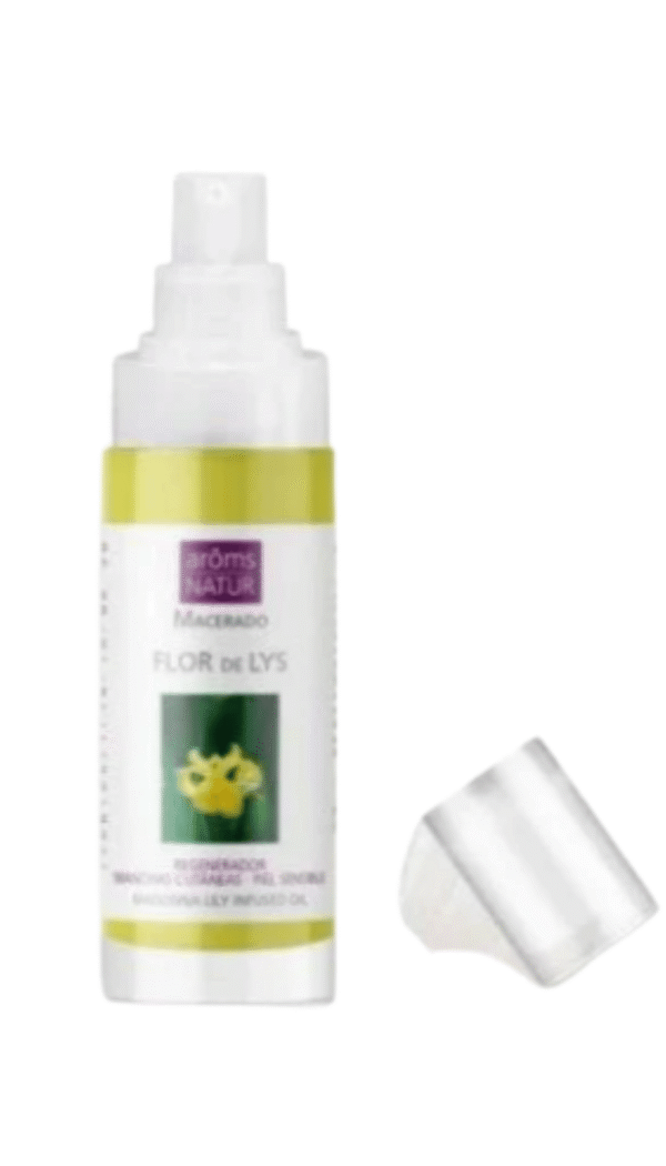 Design sem nome - 2026-05-04T143813.764 Flor de Iys